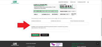 Captura los datos de servicio