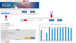 CNEL - Consutar planilla de luz