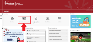 Ingresa al apartado de licencias de conducir