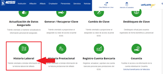 Accede al historial laboral