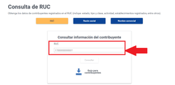 Ingrese tu RUC