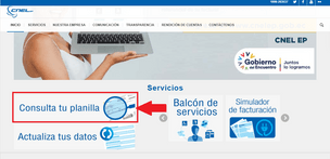 Consulta tu planilla