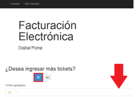 Agrega más tickets para facturar (si lo requieres)