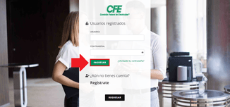 Inicia sesión con tu cuenta en el sistema CFE