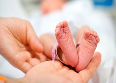 Certificado de nacimiento del registro civil de san lorenzo de el escorial