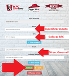 Rellena el formulario con el Monto, RFC, Uso y Email