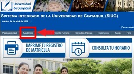 Ingresa a la sección de “Académico”