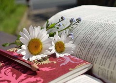 Inscribir defuncion en registro civil de ferrol