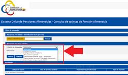 Realiza la búsqueda según los criterios correspondientes