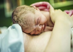 Solicitar partida de nacimiento registro civil portugalete