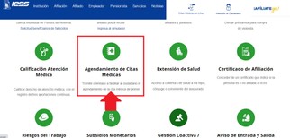 Escoge “Agendamiento de citas médicas”