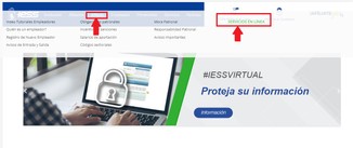 Accede a los servicios en línea